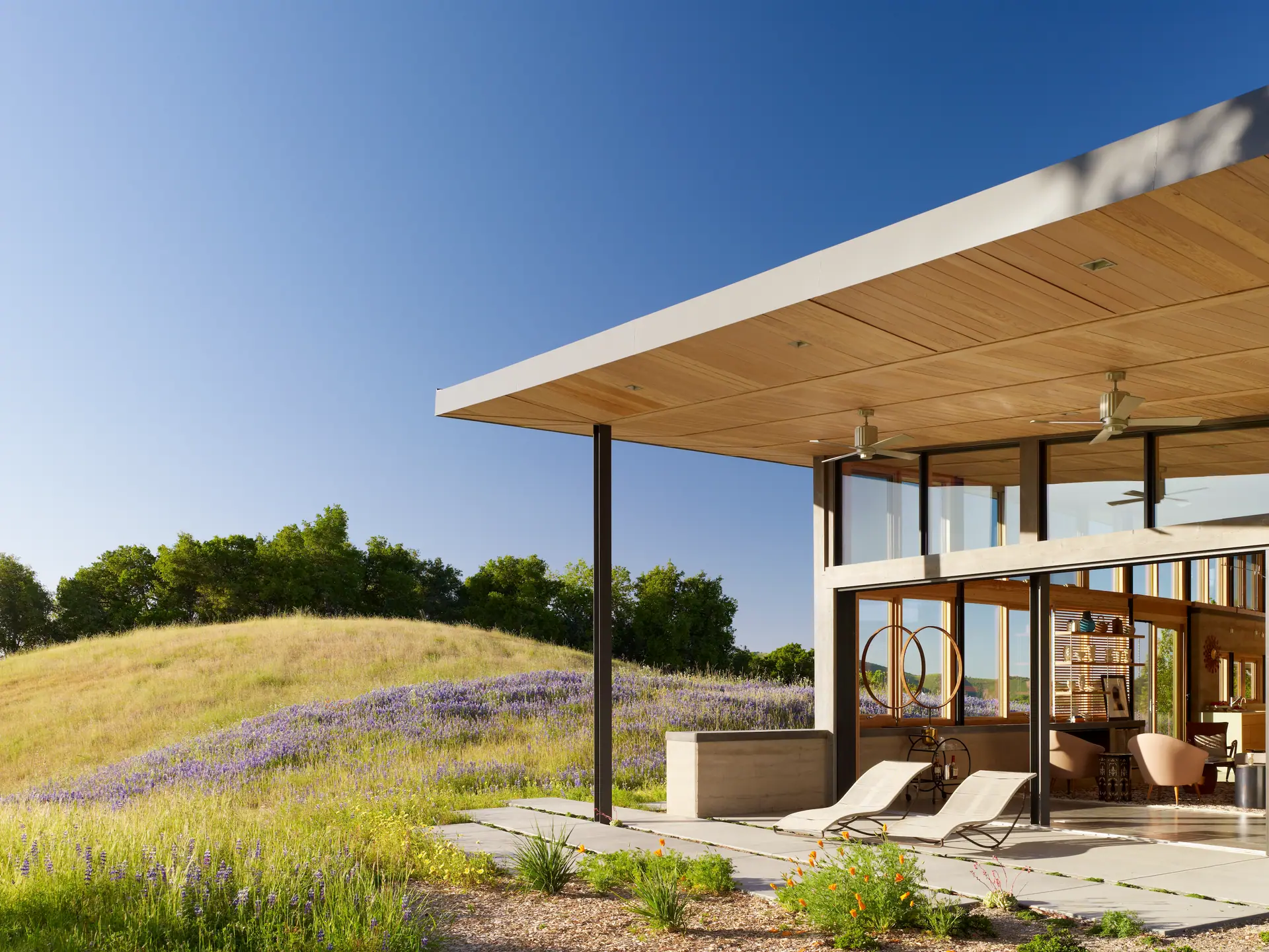 Deep timber-ceilinged roof overhang sheltering lounge chairs above a lavender meadow