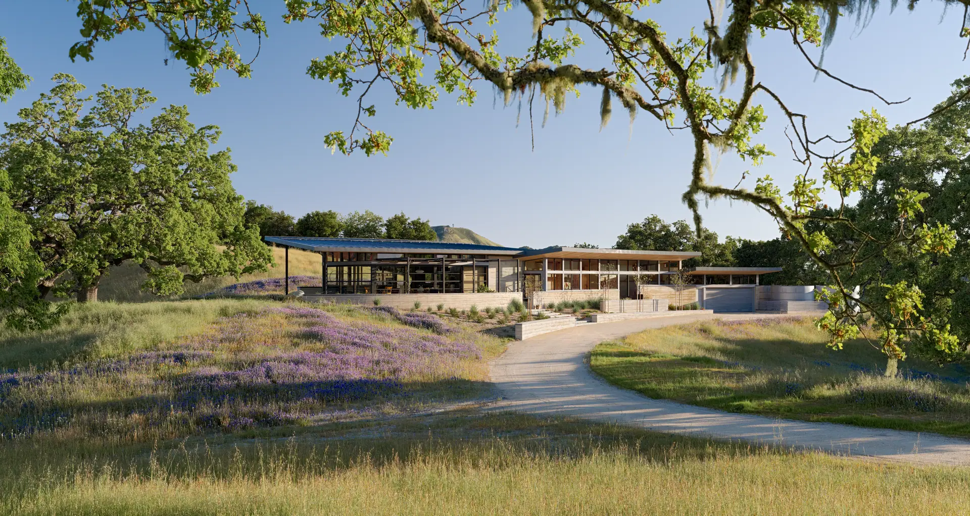 Long, low residence beneath an oak tree at the edge of a wildflower meadow