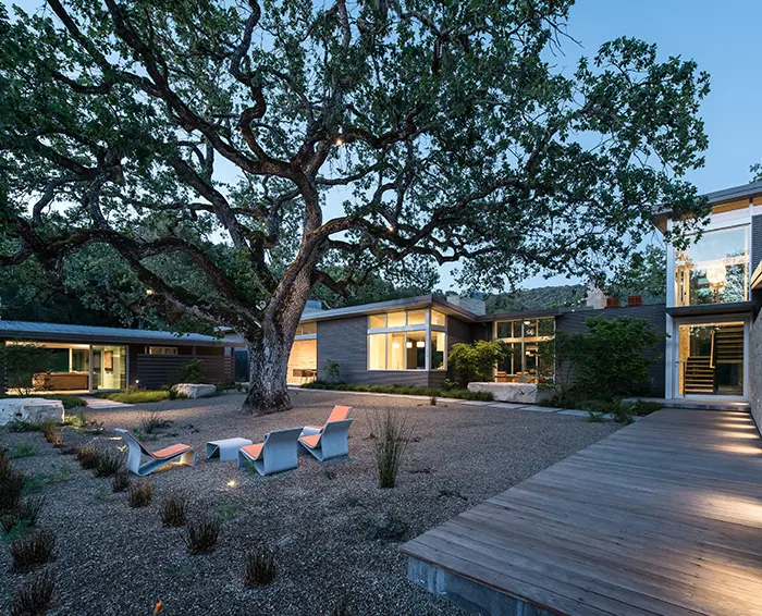 Contemporary house under a heritage oak with a timber deck and gravel court at dusk