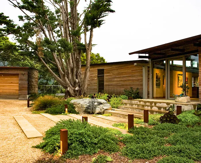 Weathered timber and steel residence with Monterey cypress and a native garden