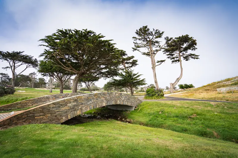 Stone footbridge over a stream on a golf course framed by Monterey cypress