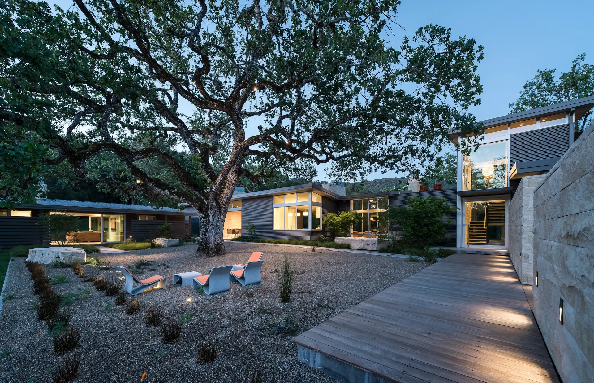 Contemporary residence beneath a heritage oak with a timber boardwalk and gravel court at dusk